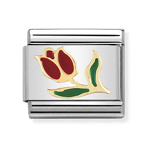 Classic Natura, Tulipano