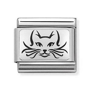 Silvershine OX Plate, Gatto