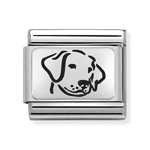 Silvershine OX Plate, Chien