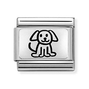 Silvershine OX Plate, Chien