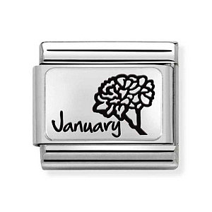 Silvershine Plate, Januar