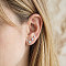 Bild 2 von 3